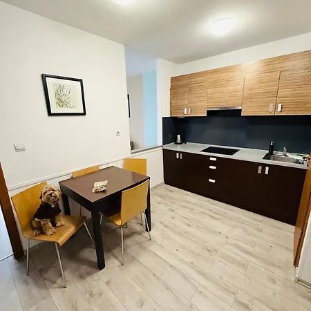 アパートホテル Prater 3*