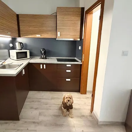 Prater アパートホテル