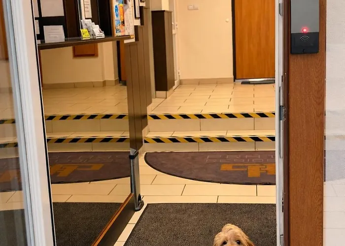 Prater Lägenhetshotell