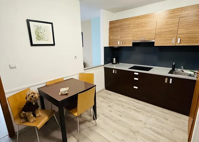 Lägenhetshotell Prater 3*