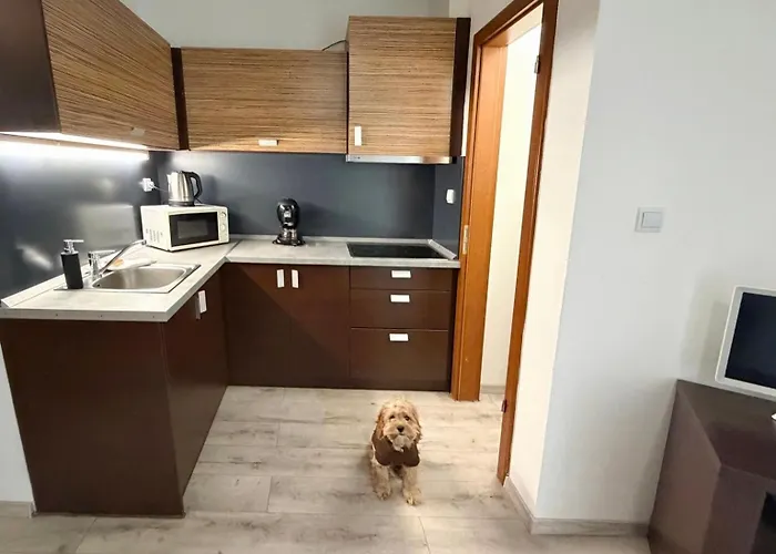 Prater Lägenhetshotell